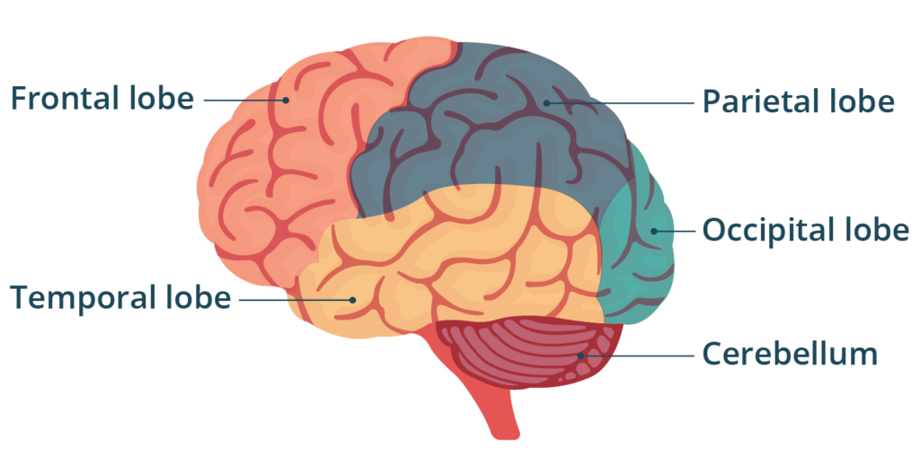 Natural options for managing nerve pain