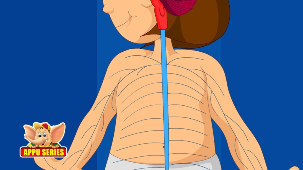 Understanding nerve pain and what you can do about it