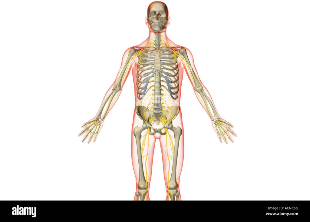 How poor sleep impacts your nervous system
